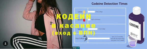 хмурый Верхний Тагил
